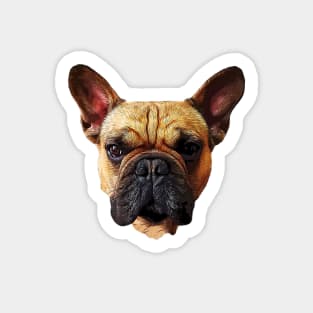 French Bulldog Fawn Puppy Dog Sticker